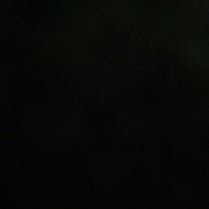 Meet your Posher, Shaniya